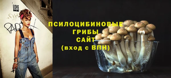 молекула духа Заволжье