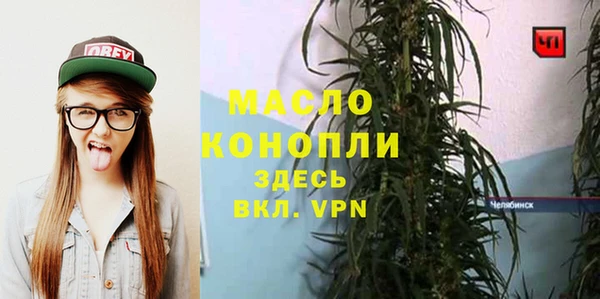 молекула духа Заволжье