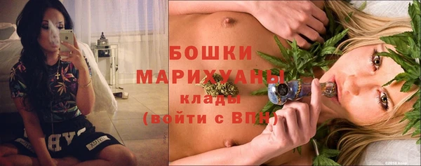 молекула духа Заволжье
